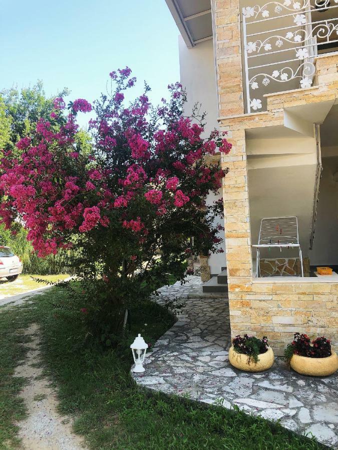 סוטומורה Vila Jovana מראה חיצוני תמונה