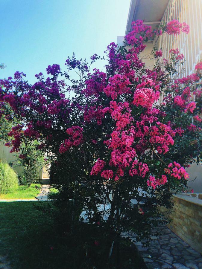 סוטומורה Vila Jovana מראה חיצוני תמונה
